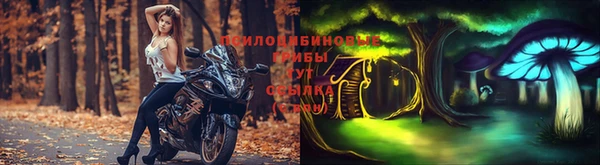 PSILOCYBIN Остров