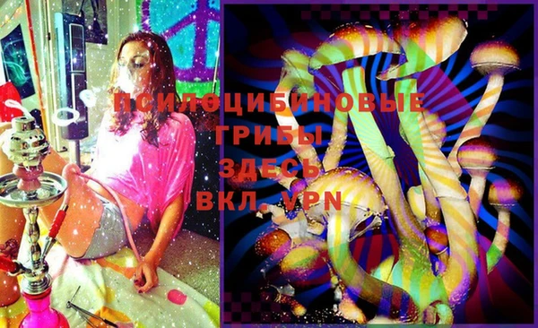 PSILOCYBIN Остров